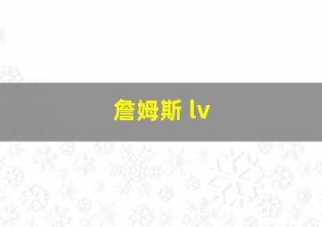 詹姆斯 lv